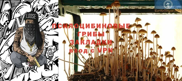 соль ск Балахна