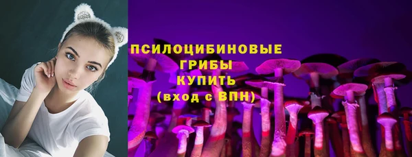 соль ск Балахна