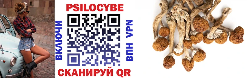 Псилоцибиновые грибы GOLDEN TEACHER  Торопец 